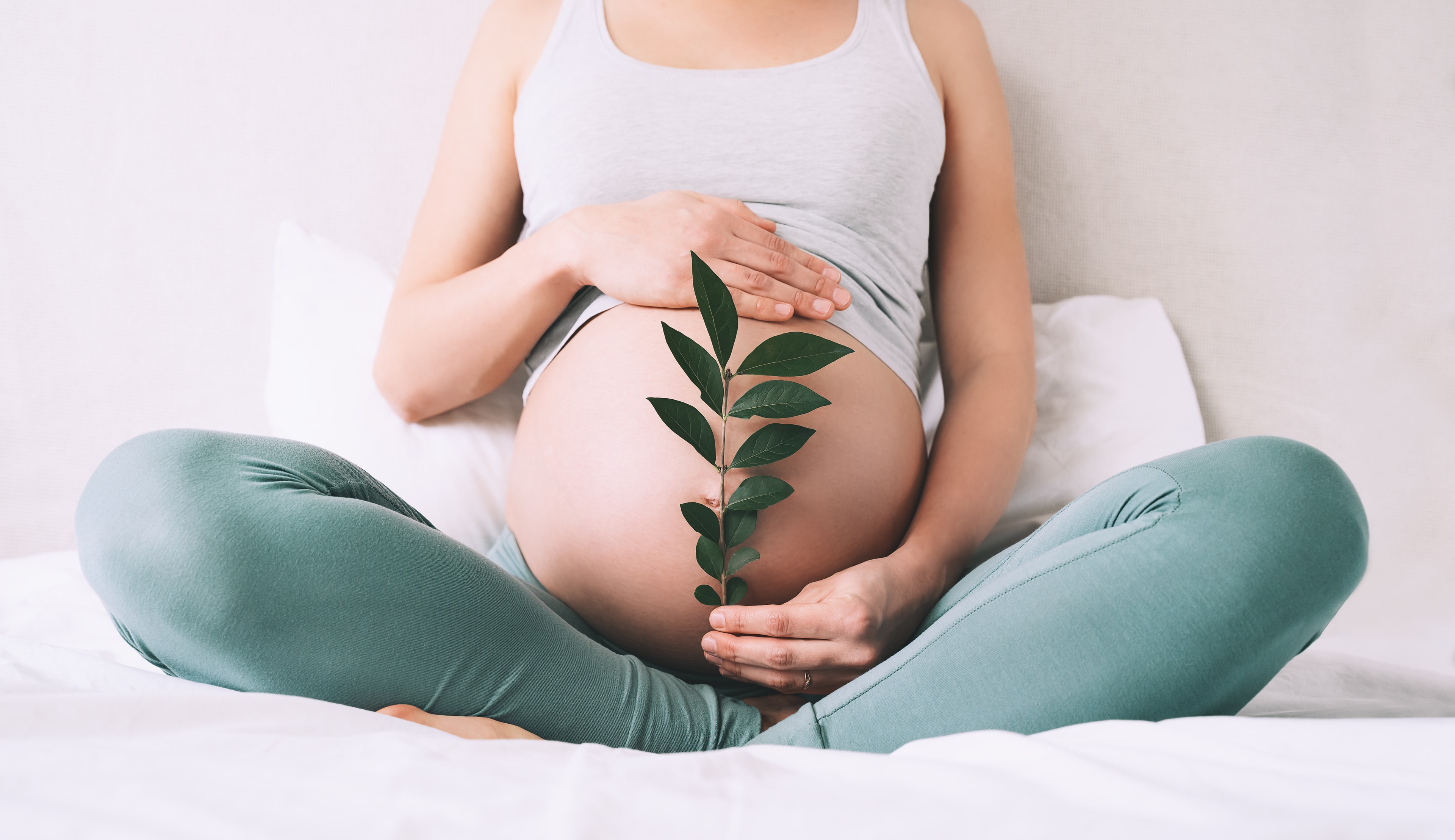 Prenatal Lactation Consultation